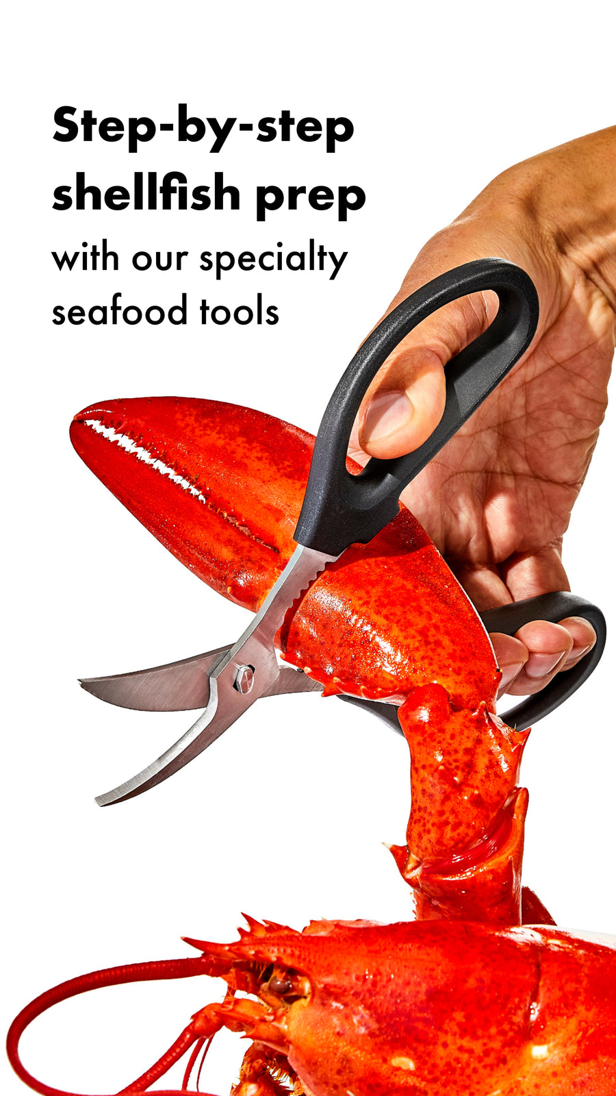 OXO Seafood Series Handy Guide
