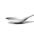STEEL Serving Spoon