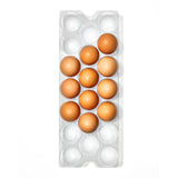 Refrigerator Egg Bin with Removable Tray