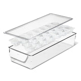 Refrigerator Egg Bin with Removable Tray