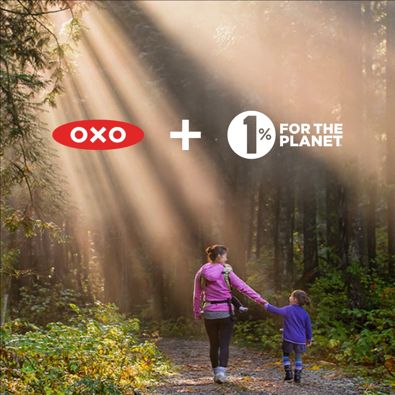 1% for the Planet section image